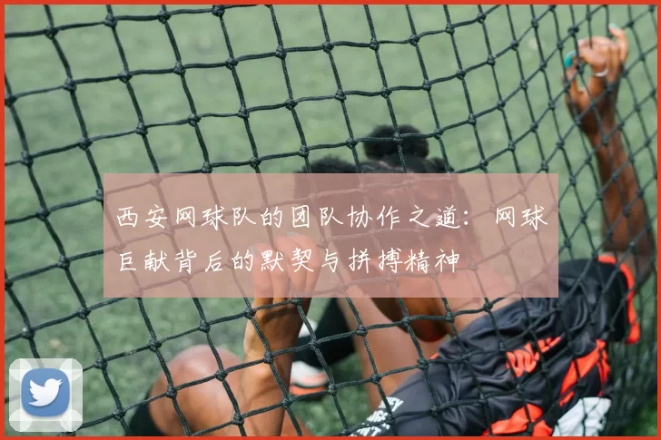 西安网球队的团队协作之道：网球巨献背后的默契与拼搏精神
