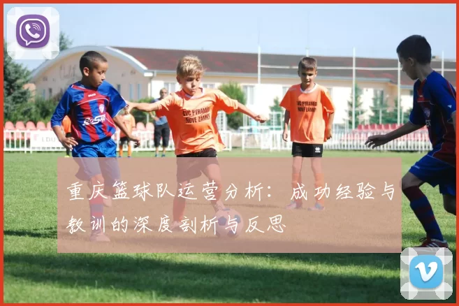 重庆篮球队运营分析：成功经验与教训的深度剖析与反思
