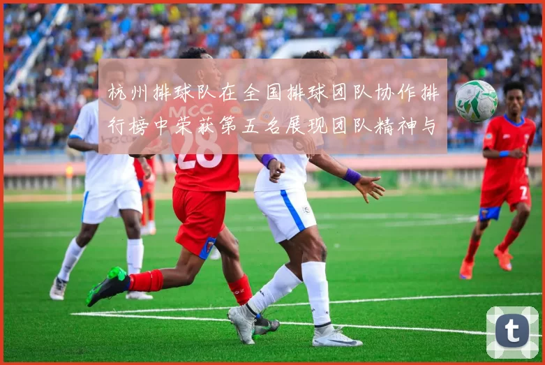 杭州排球队在全国排球团队协作排行榜中荣获第五名展现团队精神与实力