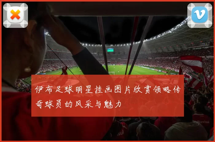 伊布足球明星挂画图片欣赏领略传奇球员的风采与魅力