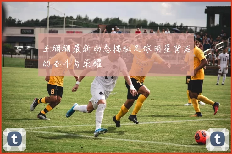 王珊珊最新动态揭秘足球明星背后的奋斗与荣耀