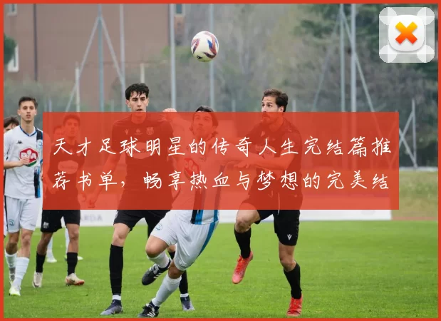 天才足球明星的传奇人生完结篇推荐书单，畅享热血与梦想的完美结合