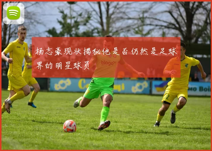 杨志豪现状揭秘他是否仍然是足球界的明星球员