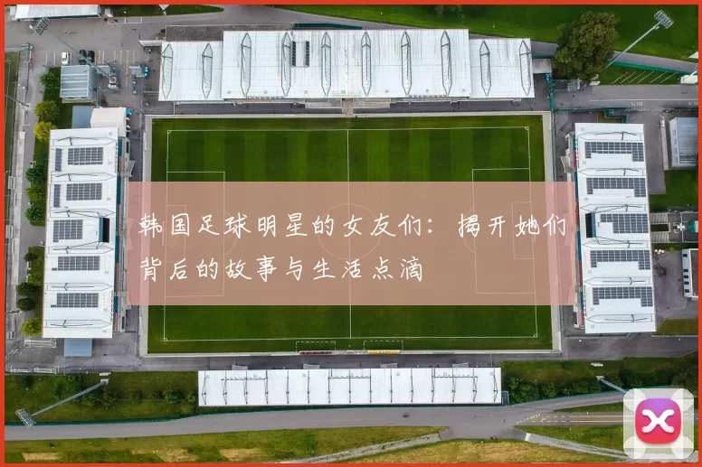 韩国足球明星的女友们：揭开她们背后的故事与生活点滴