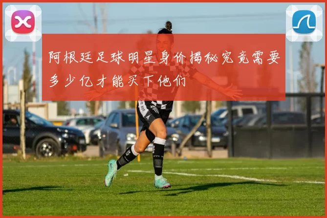 阿根廷足球明星身价揭秘究竟需要多少亿才能买下他们