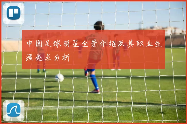 中国足球明星全景介绍及其职业生涯亮点分析