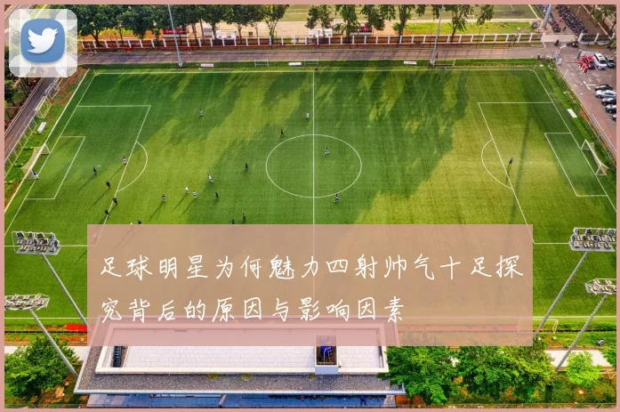 足球明星为何魅力四射帅气十足探究背后的原因与影响因素