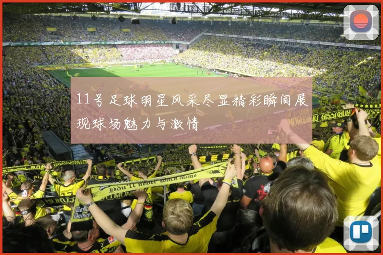 11号足球明星风采尽显精彩瞬间展现球场魅力与激情