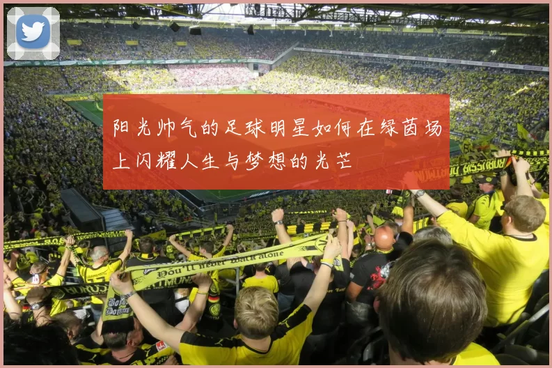 阳光帅气的足球明星如何在绿茵场上闪耀人生与梦想的光芒