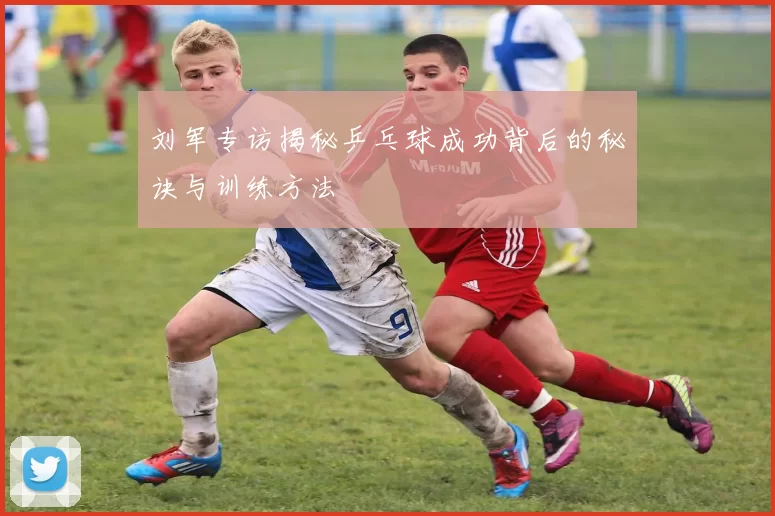 刘军专访揭秘乒乓球成功背后的秘诀与训练方法